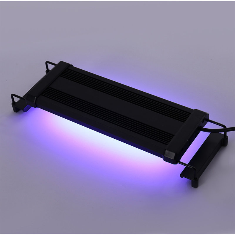 Archie & Oscar™ Couvercle d'aquarium Javier Wayfair.ca